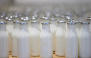 Produtos derivados do leite