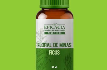 Conheça o Floral de Minas Ficus