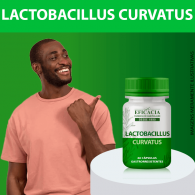 Lactobacillus Curvatus - 60 cápsulas gastroresistentes