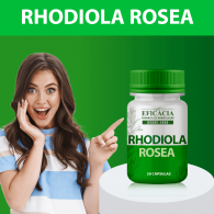 Rhodiola Rosea 400mg, com Selo de Autenticidade - 30 Cápsulas