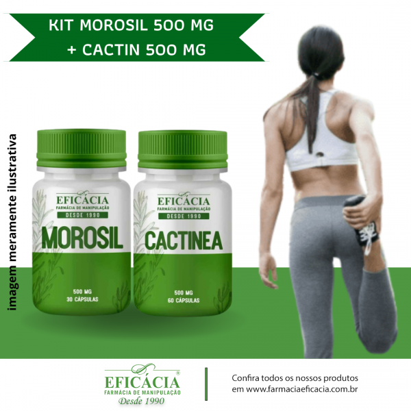 morosil-cactin-kit-1.png