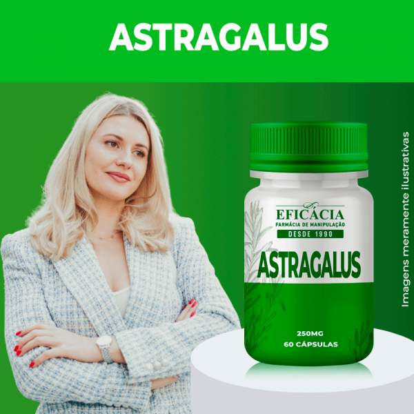 astragalus-1.png