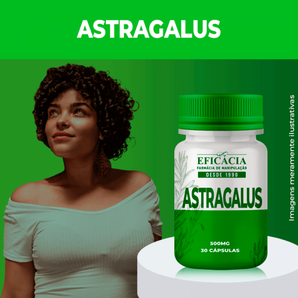 astragalus-500-mg-30-capsulas-1.png