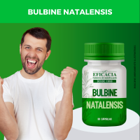 bulbine-natalensis-1.png