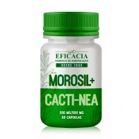morosil-cactin-2.png
