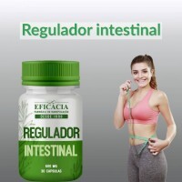 regulador-intestinal-1.png