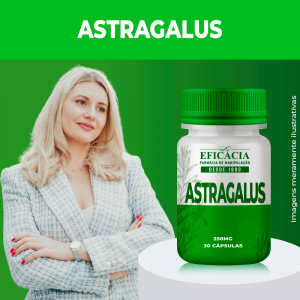 astragalus-30-capsulas-1.png