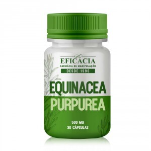 equinacea-2.png