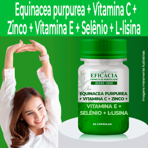 equinacea-purpurea-vitamina-c-zinco-vitamina-e-selenio-l-lisina-1.png
