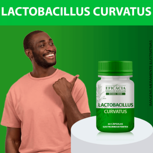 Lactobacillus Curvatus - 60 cápsulas gastrorresistentes