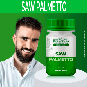 saw-palmetto-1.png