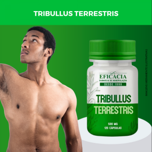 tribullus-terrestris-500-mg-120-capsula-1.png