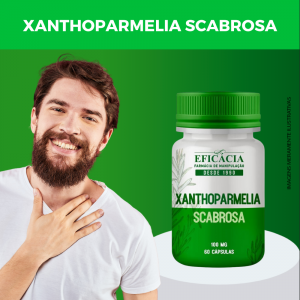 xanthoparmelia-scabrosa-1.png