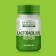 lactobacillus-reuteri-3.png
